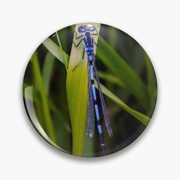 Item preview, Damselfly designed and sold by GingerMan2550.