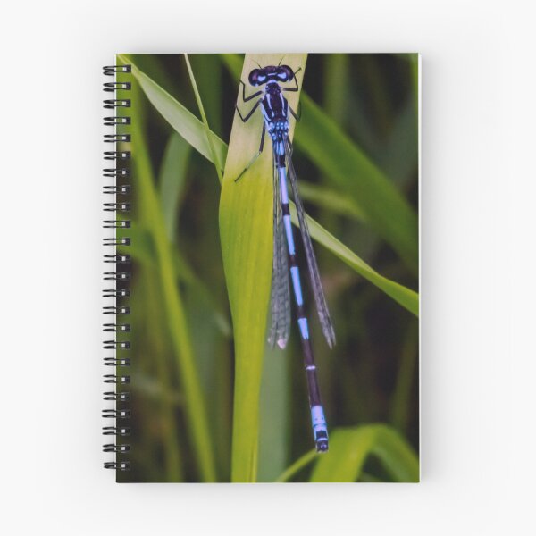 Item preview, Damselfly designed and sold by GingerMan2550.