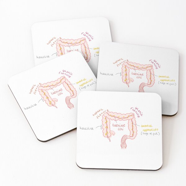Item preview, Large intestine anatomy  designed and sold by thesmileymedic.