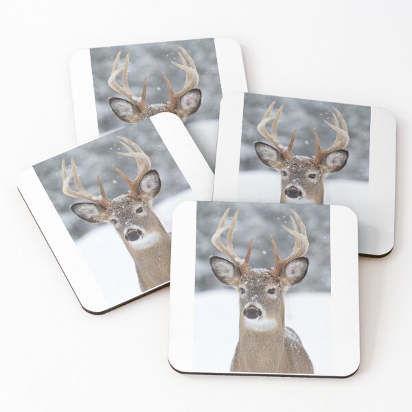 Item preview, Buck de cola blanca en invierno designed and sold by James Cumming.