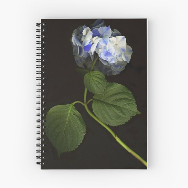 Item preview, Baby Blue Hydrangea designed and sold by Barbara E Wyeth.