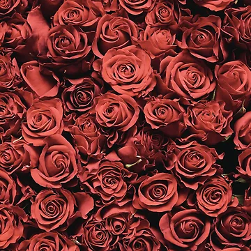 Artwork thumbnail, Red Roses by JuviaCreates