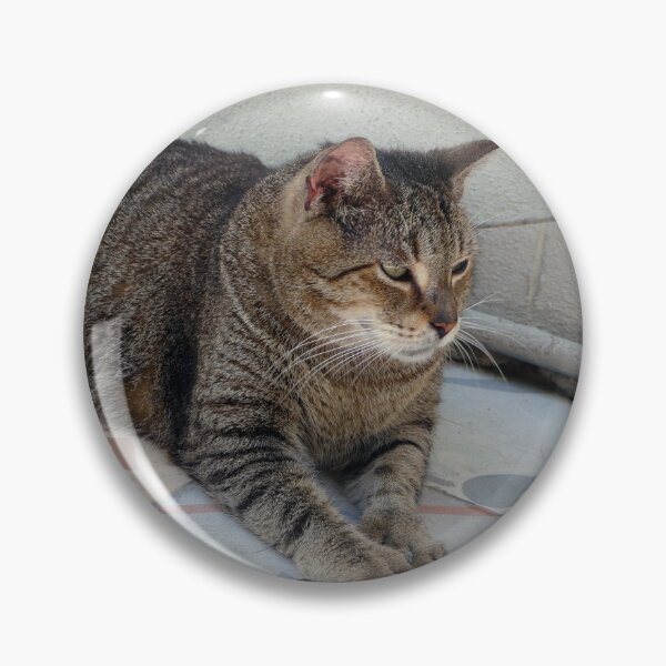Item preview, Hemingway Polydactyl Cat designed and sold by Catherine Sherman.