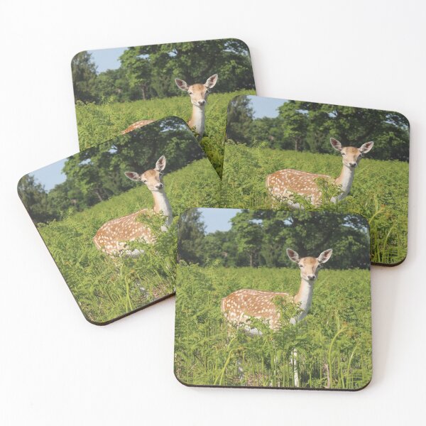 Item preview, Beautiful Doe Fallow Deer designed and sold by MarkGoughImages.