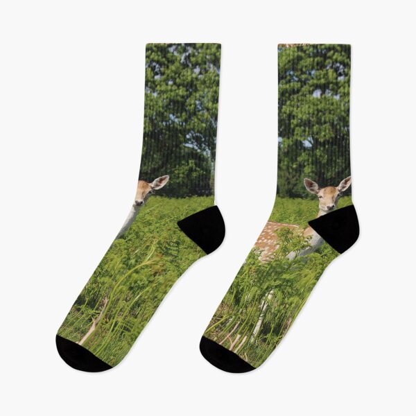 Item preview, Beautiful Doe Fallow Deer designed and sold by MarkGoughImages.