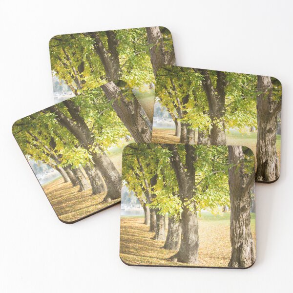 Item preview, Autumn trees, Canberra designed and sold by MissMcGoo.