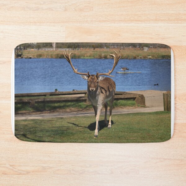 Item preview, An Inquisitive Stag designed and sold by MarkGoughImages.
