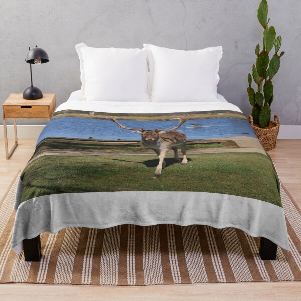 Item preview, An Inquisitive Stag designed and sold by MarkGoughImages.