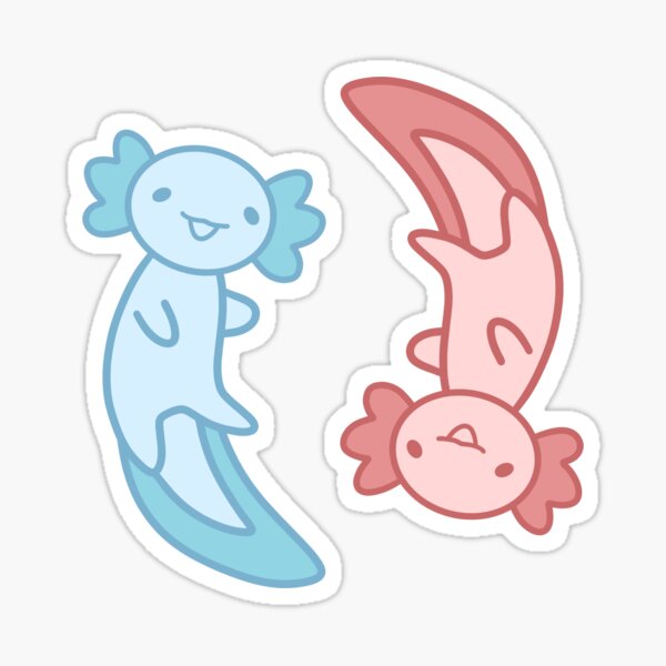 Axolotl Yin Axolotls Ts And Merchandise Redbubble