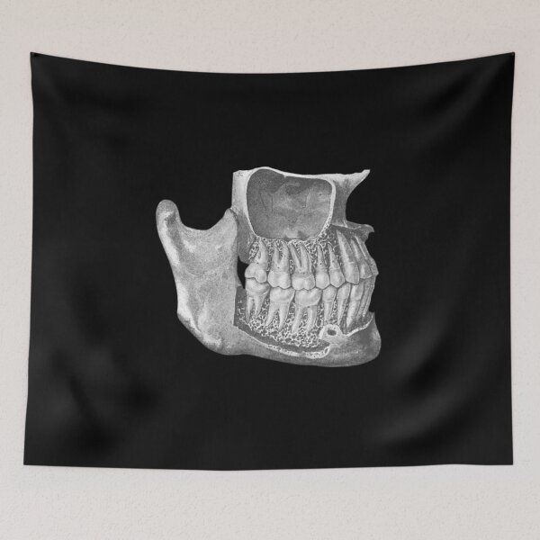 Item preview, Weird Anatomy Teeth Dentist Dental Hygienist Orthodontist designed and sold by The Junto Shop.