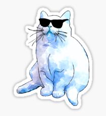 Coole Katze Sticker