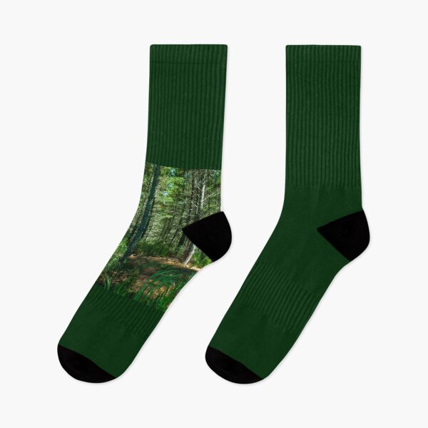 Item preview, Plantación forestal de pinos renovables, Nueva Zelanda designed and sold by Brian Scantlebury.