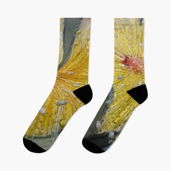 Item preview, Sunshine Yellow Gum Flowers  designed and sold by leahgordonartist.