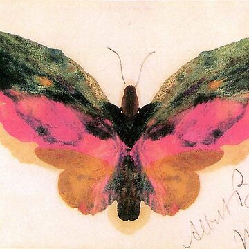 Artwork thumbnail, 'Butterfly' by Bierstadt (Reprint) by Classic Visions Gallery