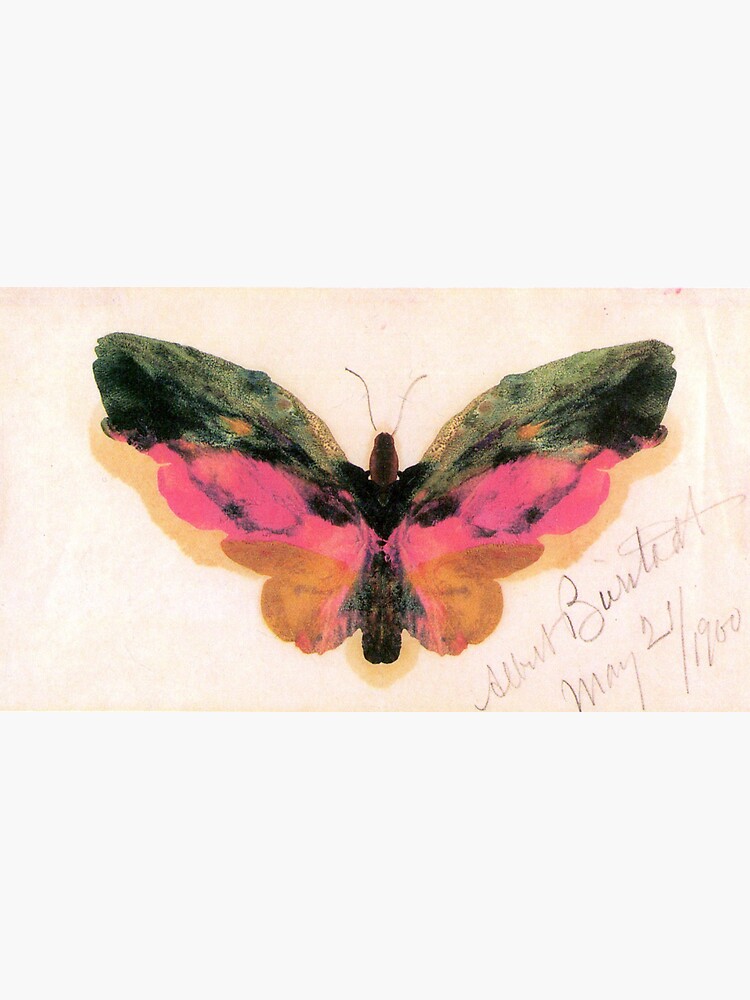 Thumbnail 3 of 3, Sticker, 'Butterfly' by Bierstadt (Reprint) designed and sold by RozAbellera.