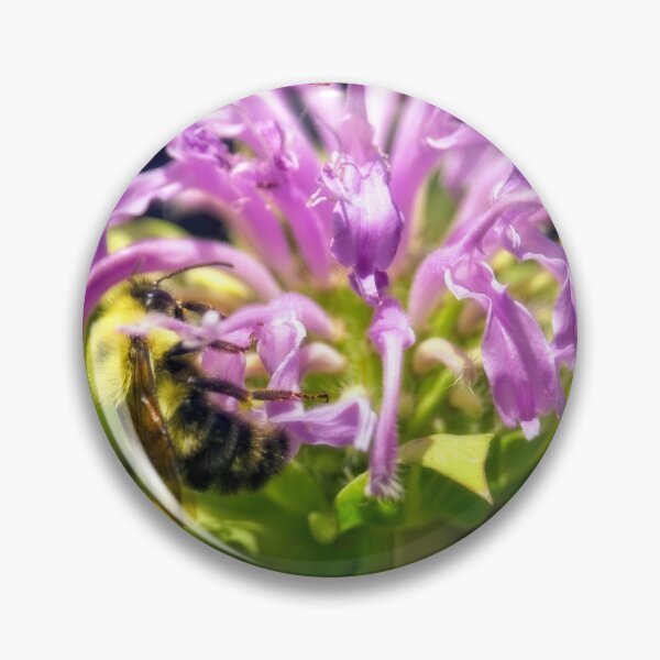 Item preview, Bumblebee Pollinating Bee Balm designed and sold by Thymely.