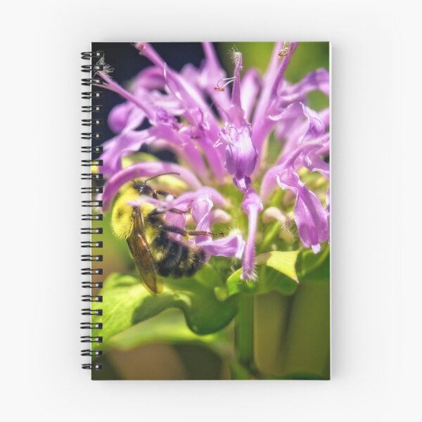 Item preview, Bumblebee Pollinating Bee Balm designed and sold by Thymely.