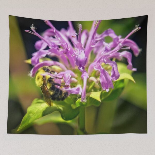 Item preview, Bumblebee Pollinating Bee Balm designed and sold by Thymely.