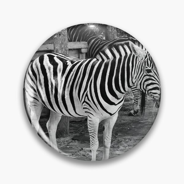 Item preview, A Monochrome Zebra designed and sold by MarkGoughImages.