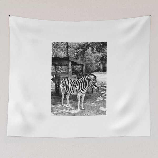Item preview, A Monochrome Zebra designed and sold by MarkGoughImages.