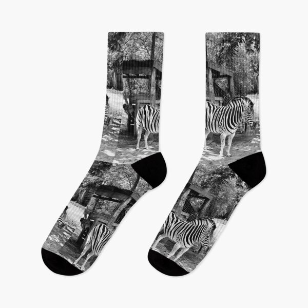 Item preview, A Monochrome Zebra designed and sold by MarkGoughImages.