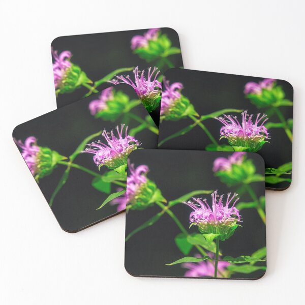 Item preview, Wild Bee Balm Flowers designed and sold by Thymely.