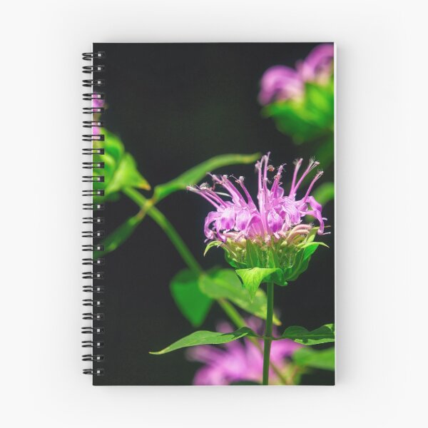 Item preview, Wild Bee Balm Flowers designed and sold by Thymely.