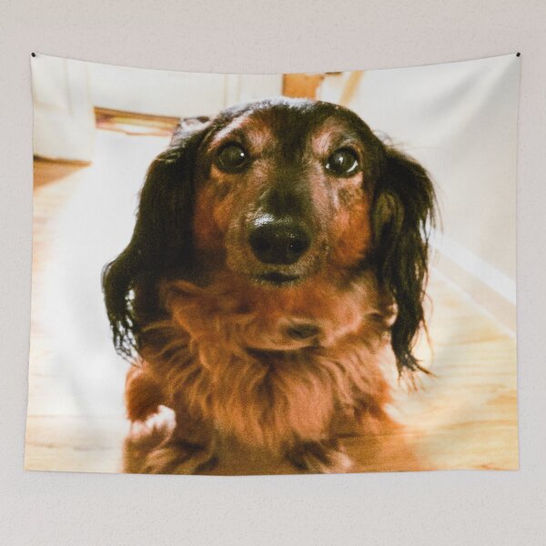 Item preview, Miniature Dachshund designed and sold by ClearNight.