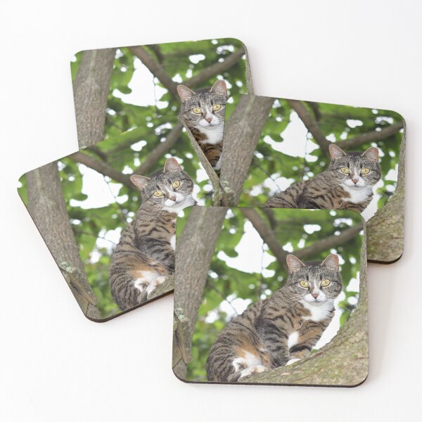 Item preview, Little Momma designed and sold by DonnaM.