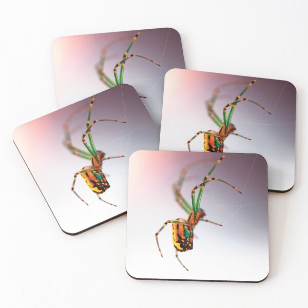 Item preview, Colorful Orb Weaver Spider designed and sold by theterminalshow.