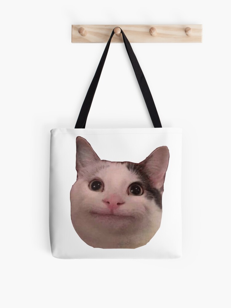 cat with a bag