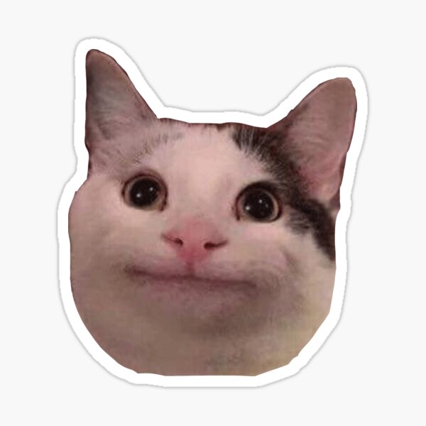 Lächelnder Katzenbeluga Glänzender Sticker