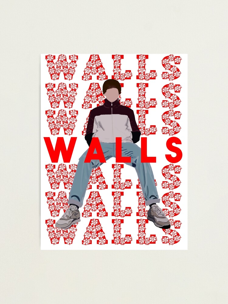 Louis Tomlinson Walls Painting 