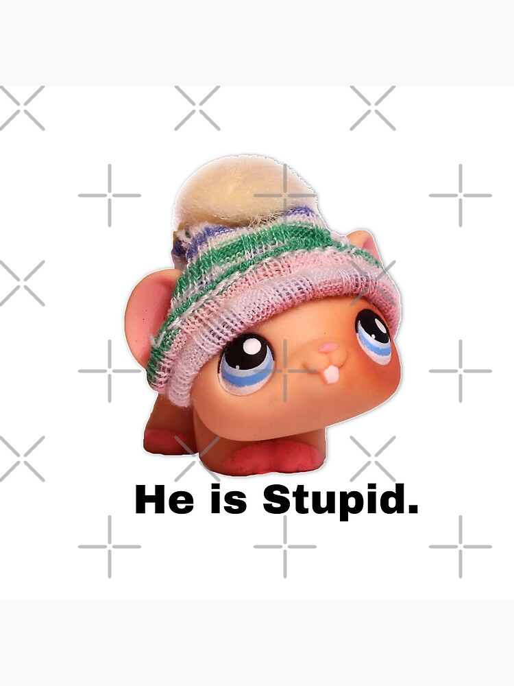 Littlest pet shop mouse hamster he is stupid meme Art Board Print