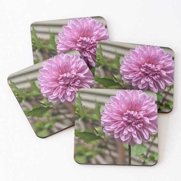 Item preview, Dahlia  designed and sold by memorguson.