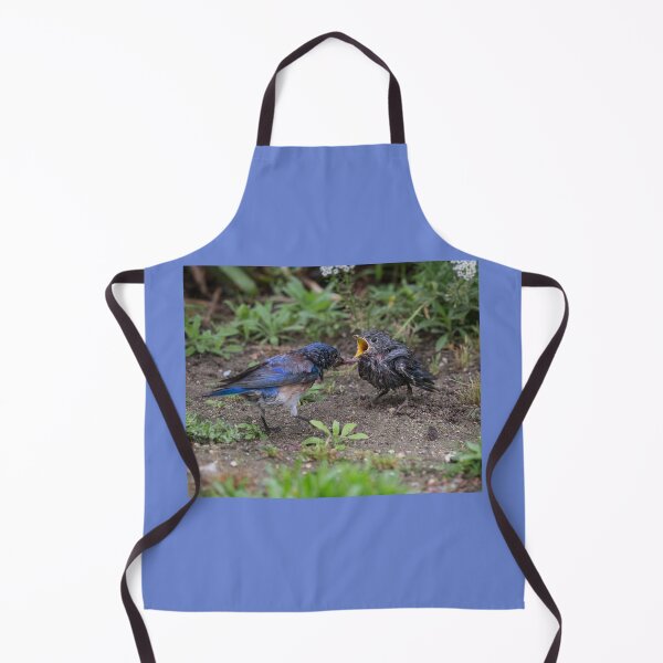 Item preview, Adult Western Bluebird Feeding Fledging designed and sold by CarolM.