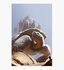 Turtle Temple Photographic Print