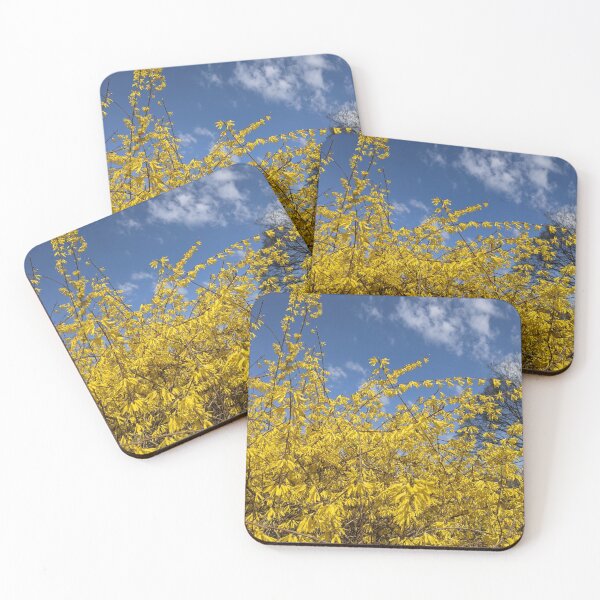 Item preview, Forsythia blooming designed and sold by memorguson.
