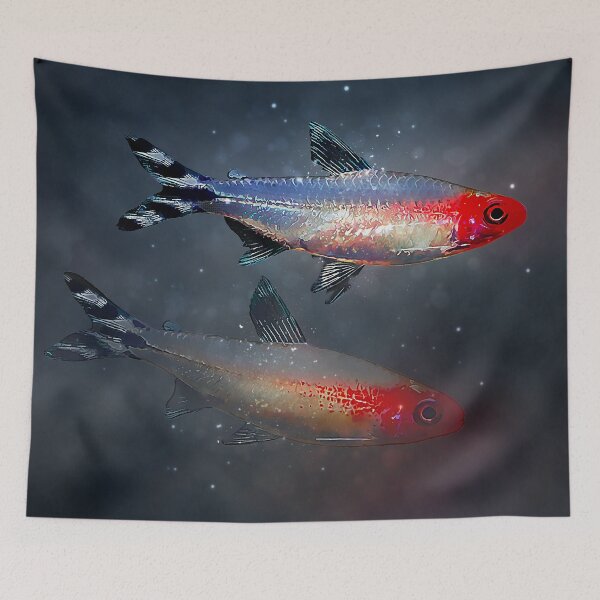 Item preview, Rummynose Tetra designed and sold by GFishy.
