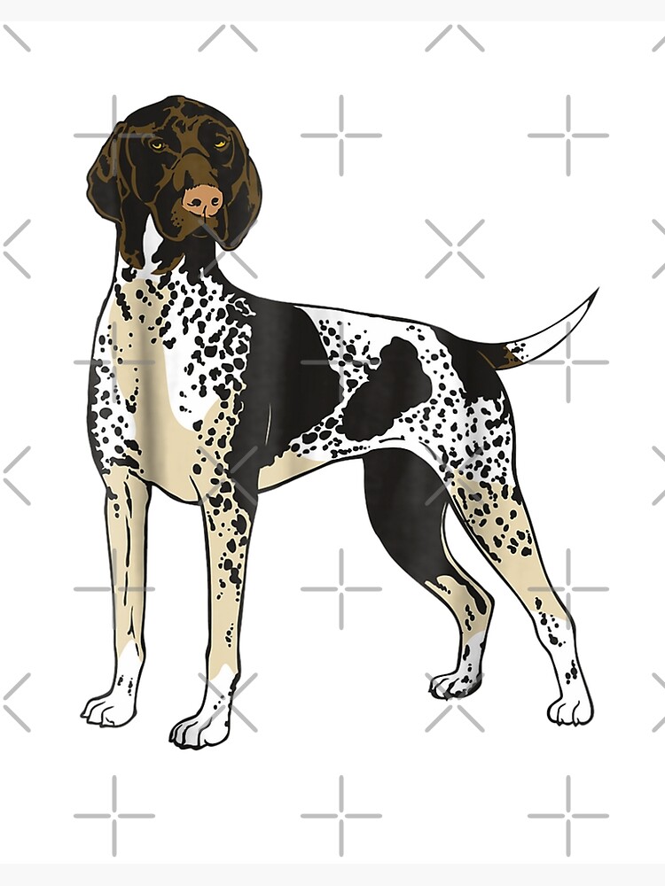 Pointer dog clearance gifts