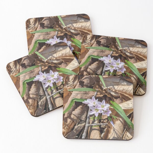 Item preview, Spring Flowers designed and sold by memorguson.