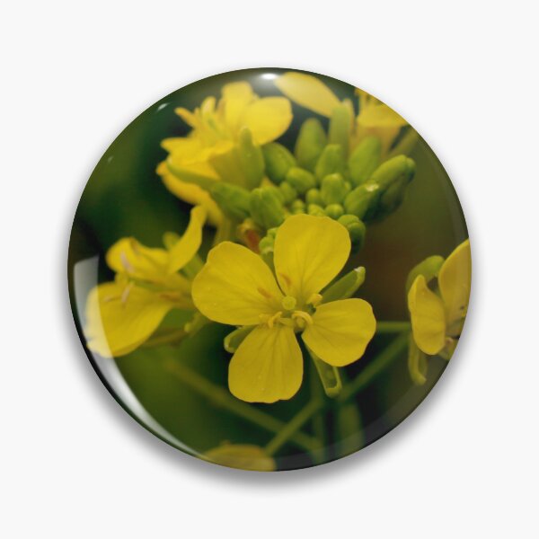 Item preview, Mustard Lettuce Flowers designed and sold by Geoff Treagus.