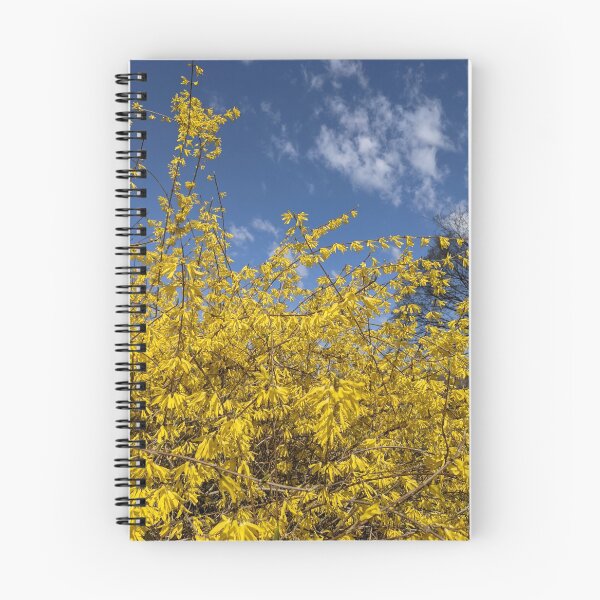 Item preview, Forsythia blooming designed and sold by memorguson.