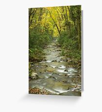 Flowing River in Autumn Greeting Card