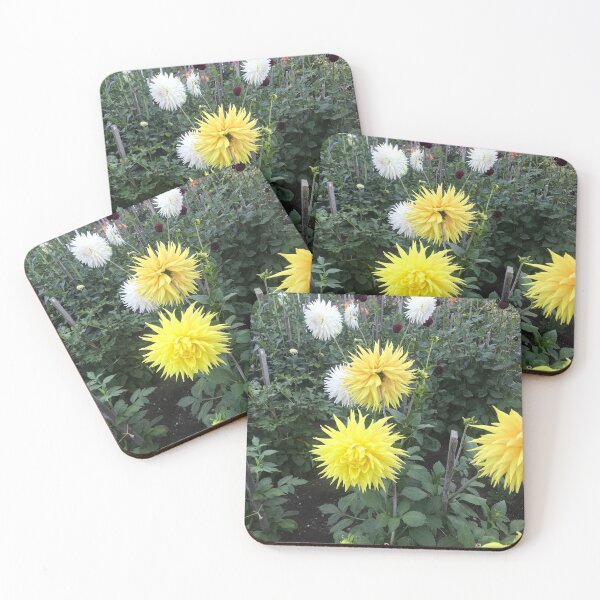 Item preview, Dahlia garden designed and sold by Cooking1better.