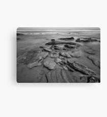 Coquina rock coastline Canvas Print