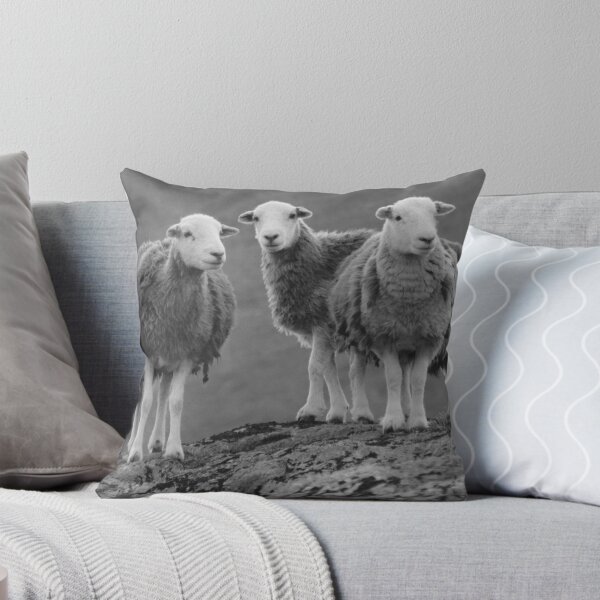 Item preview, Los tres amigos designed and sold by Rob Parsons (Just a Walker with a Camera).