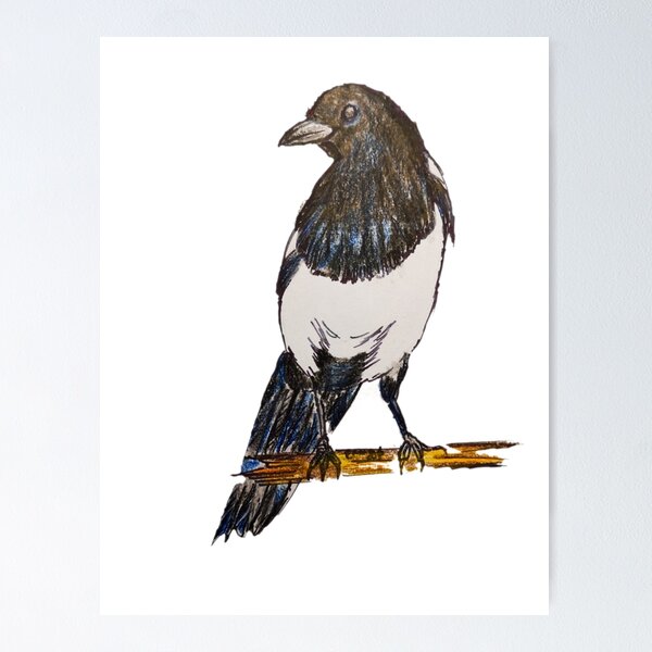 Item preview, Australian Magpie Bird designed and sold by CanDo20.