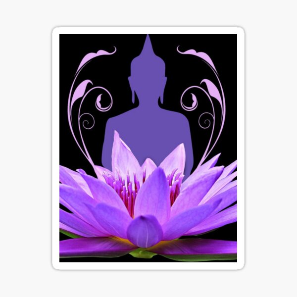 Lotus Flower Live Gifts Merchandise Redbubble