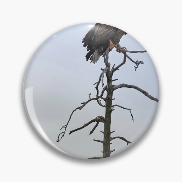 Item preview, The King and Lackey. White-tailed eagle and raven designed and sold by Jouko Lehto Photography.